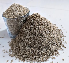 Jeera / Cumins 1kg