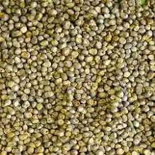 Basic Bajra 1kg simpal packaging